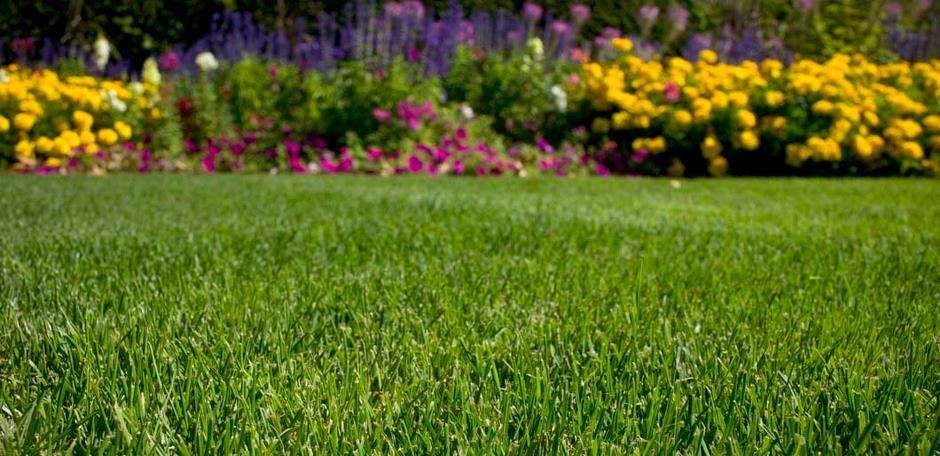GrassLopata
