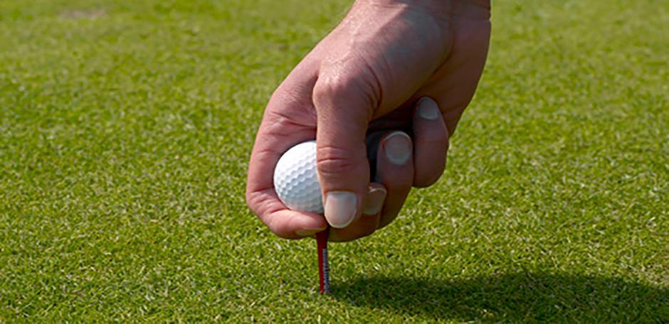 GrassLopata
