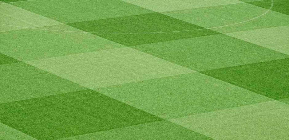 GrassLopata