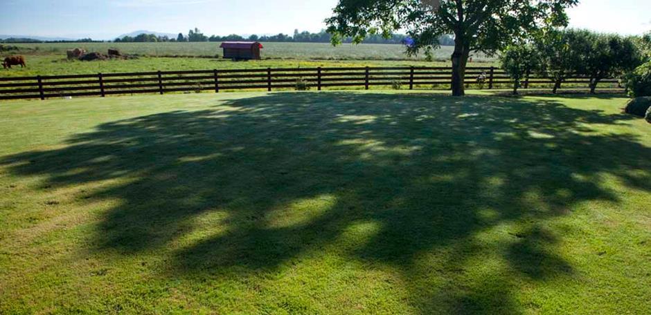GrassLopata